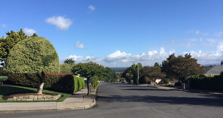 View from NE 141st at Rose Parkway at the crest of Argay Terrace.